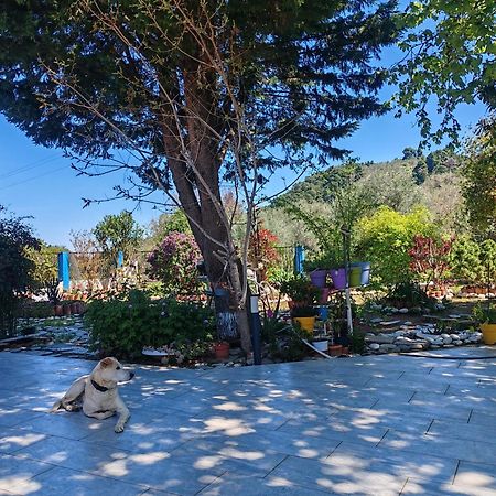 Εξοχική Κατοικία - Cottage Τίνα Líri Esterno foto