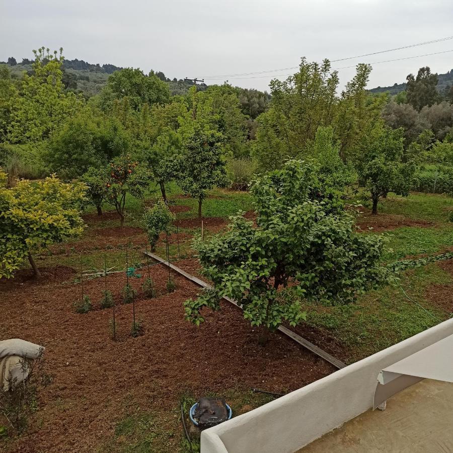 Εξοχική Κατοικία - Cottage Τίνα Líri Esterno foto